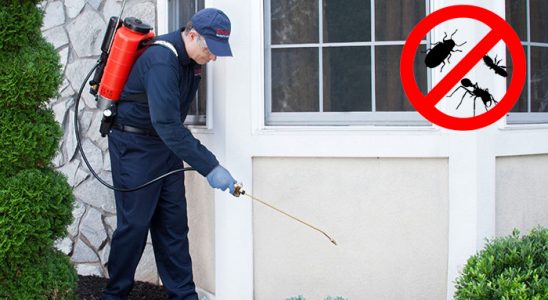Murgul Böcek İlaçlama böcek ilaçlama ve haşere kontrolü — ilaclama-tr.com